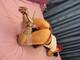 Foto privada de squirtlolly
