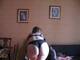 Foto privada de hotsara