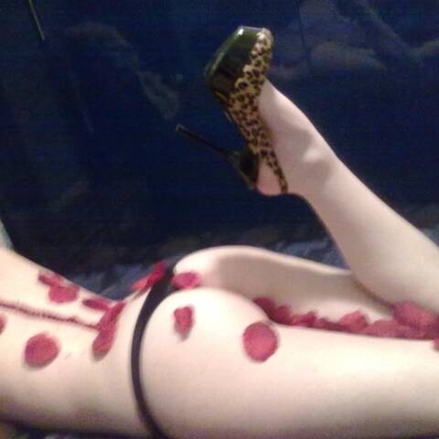 Profile photo of _Leilani_