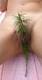 Foto privada de armony_37