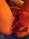 Foto privada de DaikiryxxBamby