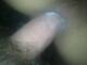 Foto privada de mycya