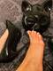Foto privada de Mademoiselle_Satine