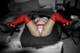 Foto privada de Dark_Lilith