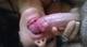 Foto privada de Dark_Lilith