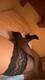 Foto privada de _Scarlett_Monique