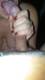 Foto privada de Persyforyou