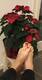 Foto privada de Arielqueen89