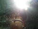 Foto privada de SweetCatCam