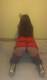 Foto privada de elisa69bitch