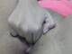 Foto privada de Sexygreta96