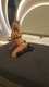 Foto privada de HotLucy