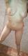 Corpo