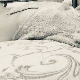 Public photo of Deamalizia