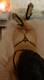 Foto privada de PoisonGirl94