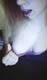 Foto privada de lisa_blu