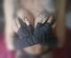 Foto privada de Catwomanx