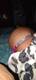 Foto privada de elena_18