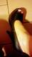 Foto privada de _RedGoddessx
