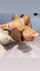 Foto privada de Dolcebsx90