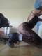 Foto privada de NIKITA_07
