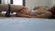 Foto privada de Principessa_Sofy
