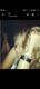 Foto privada de Koral_