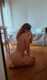 Foto privada de Gisele_