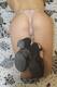 Private Photo of sexybibi