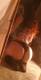 Foto privada de Daisy_