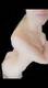 Foto privada de Sexyporcellina69