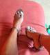 Foto privada de Pinkandy