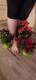 Foto privada de MissFeet66