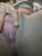 Foto privada de Giulia0069