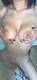 Foto privada de xxxdiabla666