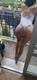 Foto privada de xxxdiabla666