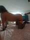 Foto privada de _Paola_