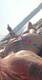 Foto privada de Fit__girl