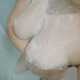 Doccia