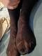 Foto privada de FeetFetishFantasy