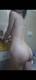 Foto privada de Miaelix69