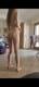 Foto privada de Miaelix69