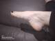 Foto privada de pennylove176