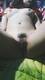 Private Photo of Selene97
