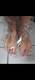 Private Photo of Lunafeet91
