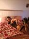 Foto privada de A_Peach_Michelle_