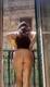 Foto privada de Candy88
