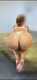 big ass bitch