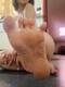 Foto privada de Azzurra_moon