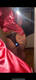 Plug anale